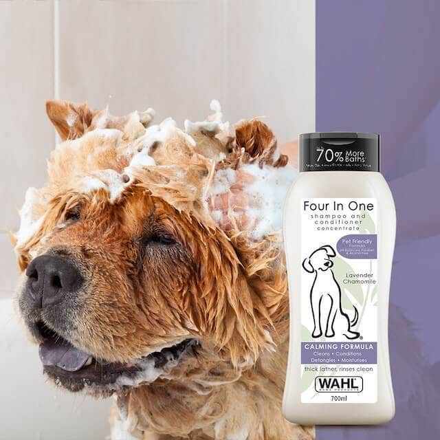 Wahl four in one shampoo and conditioner being used on cute brown dog